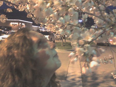 Rebecca & Blossoms Rebecca & Blossoms