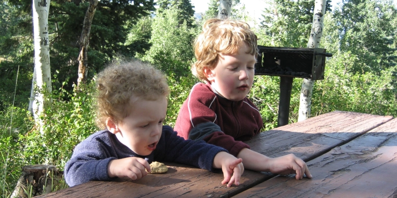 Mountain Cookie Kids